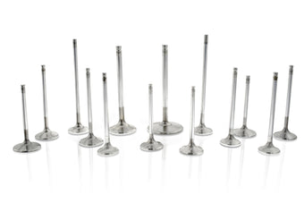 compare product Ferrea BMW M50 30.5mm 5.96mm 106mm Stk Trpl Grv Comp Plus Exh Valve - Single (Drop Ship Only)