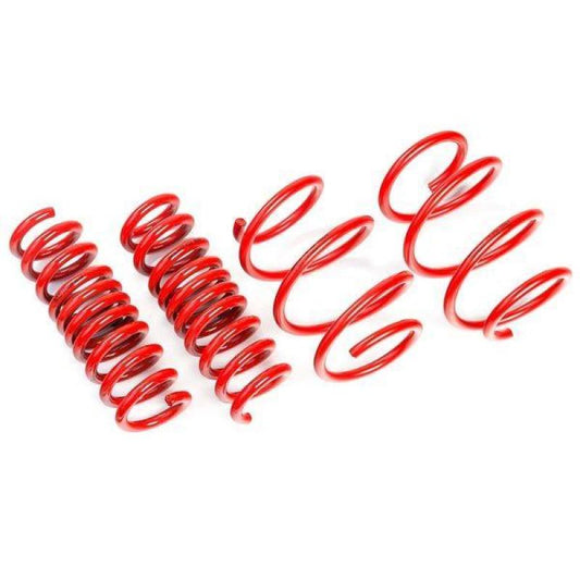 AST Lowering Springs – Honda Civic FK8 Type R 20mm Drop