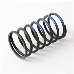 compare product Turbosmart WG40 10PSI Outer Spring Brown/Blue