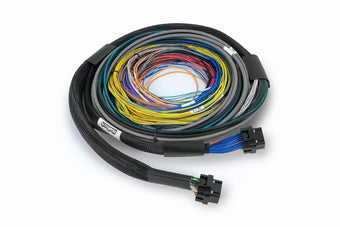 compare product Haltech NEXUS S2/S3 Universal Wire-In Harness Kit - 2.5M (8ft)