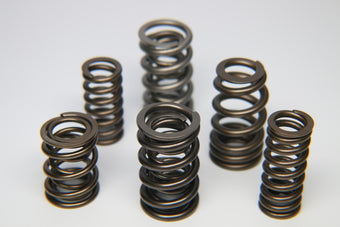 compare product Ferrea Ford Zetec ZX2 Single Valve Spring - Single (Drop Ship Only)