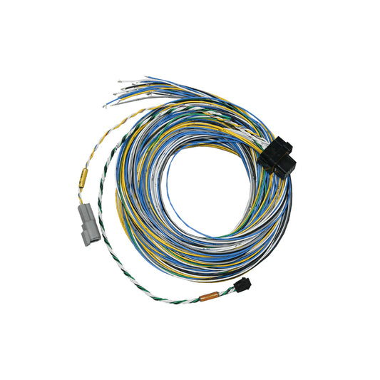 FuelTech FT550 B Unterminated Harnesses