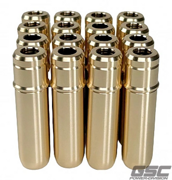 compare product GSC P-D Ford 5.0L Coyote Gen 1/Gen 2 (STD) Intake/Exhaust Valve Guide w/Stopper - Set of 16
