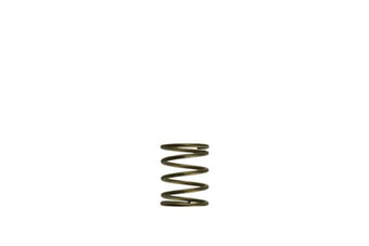 compare product Turbosmart Gen-V WG45/50 3psi Orange Inner Spring