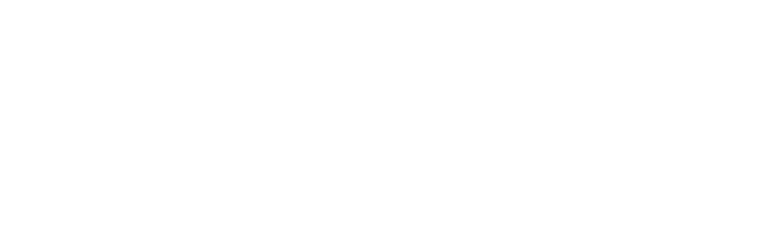 FuelTech FT550 EFI System ECU