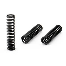 Hybrid Racing Heavy-Duty Honda® Transmission Detent Springs